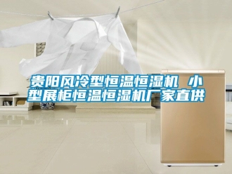 知識百科貴陽風冷型恒溫恒濕機 小型展柜恒溫恒濕機廠家直供