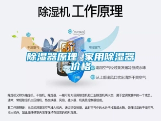 行業新聞除濕器原理 家用除濕器價格