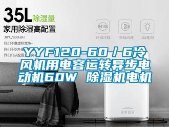 企業新聞YYF120-60／6冷風機用電容運轉異步電動機60W 除濕機電機