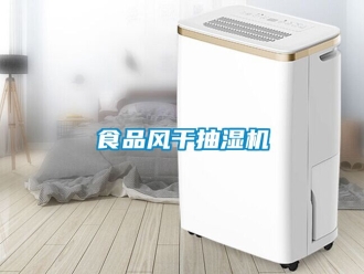 企業(yè)新聞食品風(fēng)干抽濕機(jī)
