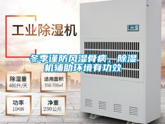 企業(yè)新聞冬季謹(jǐn)防風(fēng)濕骨病，除濕機(jī)輔助環(huán)境有功效