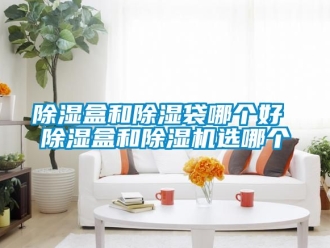 企業新聞除濕盒和除濕袋哪個好 除濕盒和除濕機選哪個