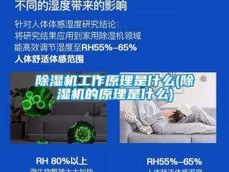 行業新聞除濕機工作原理是什么(除濕機的原理是什么)
