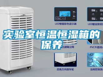 知識(shí)百科實(shí)驗(yàn)室恒溫恒濕箱的保養(yǎng)