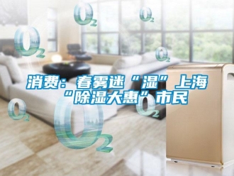 知識百科消費：春霧迷“濕”上海 “除濕大惠”市民