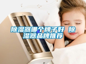 行業新聞除濕器哪個牌子好 除濕器品牌推薦
