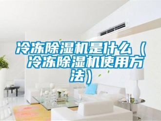行業新聞冷凍除濕機是什么（ 冷凍除濕機使用方法）