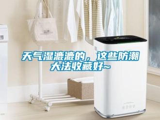 知識百科天氣濕漉漉的，這些防潮大法收藏好~