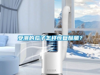 常見問題受潮的瓜子怎樣恢復(fù)酥脆？