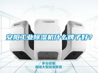 常見問題安陽工業除濕機什么牌子好？