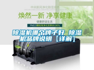 企業新聞除濕機哪個牌子好 除濕機品牌說明【詳解】