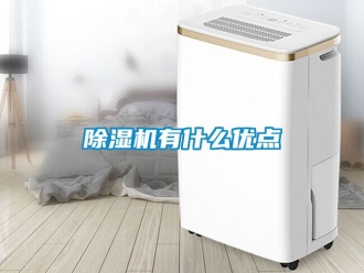 行業(yè)新聞除濕機(jī)有什么優(yōu)點(diǎn)