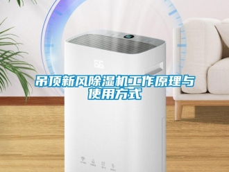 常見問題吊頂新風(fēng)除濕機工作原理與使用方式
