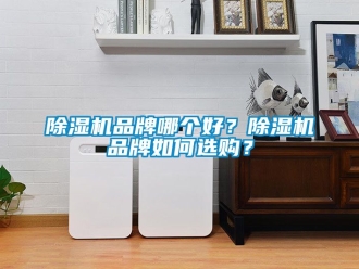 企業新聞除濕機品牌哪個好？除濕機品牌如何選購？
