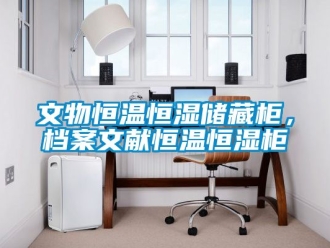 知識百科文物恒溫恒濕儲藏柜，檔案文獻恒溫恒濕柜