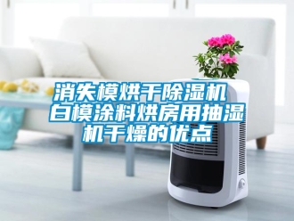行業(yè)新聞消失模烘干除濕機 白模涂料烘房用抽濕機干燥的優(yōu)點