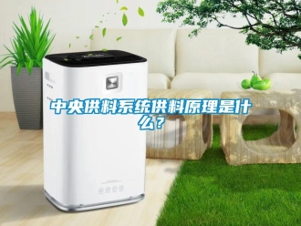 知識百科中央供料系統供料原理是什么？