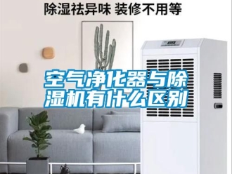 行業(yè)新聞空氣凈化器與除濕機(jī)有什么區(qū)別
