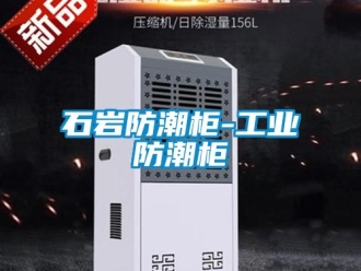 常見問題石巖防潮柜-工業防潮柜