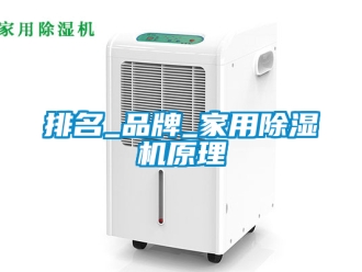 企業(yè)新聞排名_品牌_家用除濕機(jī)原理