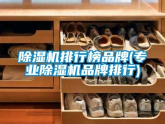 企業新聞除濕機排行榜品牌(專業除濕機品牌排行)