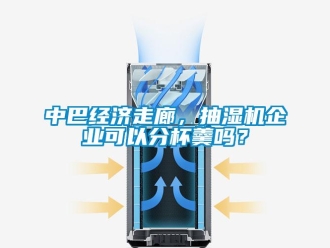 常見問題中巴經(jīng)濟走廊，抽濕機企業(yè)可以分杯羹嗎？