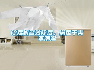 企業新聞除濕機多效除濕，滿屋干爽不潮濕
