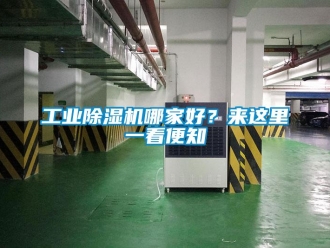 企業新聞工業除濕機哪家好？來這里一看便知
