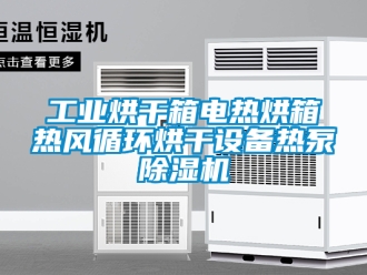 常見問題工業(yè)烘干箱電熱烘箱熱風(fēng)循環(huán)烘干設(shè)備熱泵除濕機(jī)