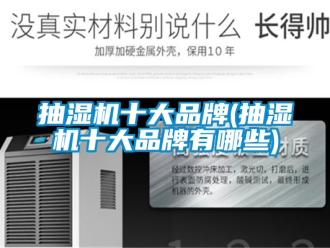 企業新聞抽濕機十大品牌(抽濕機十大品牌有哪些)