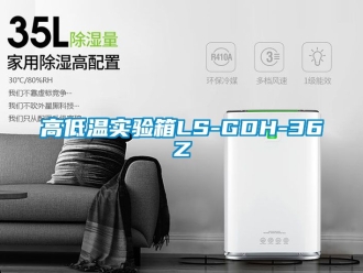 常見問題高低溫實驗箱LS-GDH-36Z