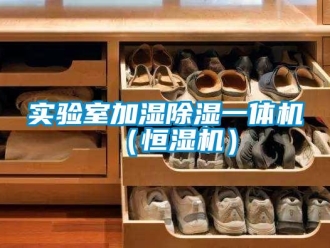 知識百科實驗室加濕除濕一體機（恒濕機）