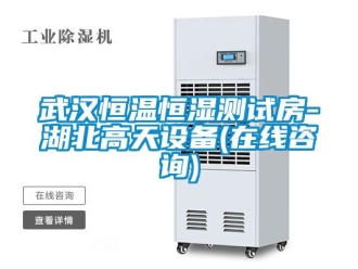 知識百科武漢恒溫恒濕測試房-湖北高天設備(在線咨詢)