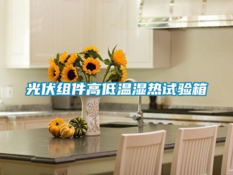 常見問題光伏組件高低溫濕熱試驗箱