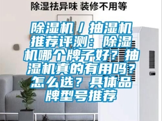 企業新聞除濕機／抽濕機推薦評測：除濕機哪個牌子好？抽濕機真的有用嗎？怎么選？具體品牌型號推薦
