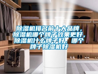 企業新聞除濕機排名前十大品牌，除濕機哪個牌子效果更好，除濕機什么牌子好，哪個牌子除濕機好