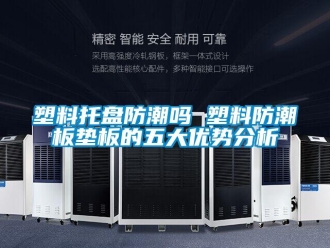 常見(jiàn)問(wèn)題塑料托盤(pán)防潮嗎 塑料防潮板墊板的五大優(yōu)勢(shì)分析