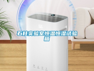 知識(shí)百科石柱實(shí)驗(yàn)室恒溫恒濕試驗(yàn)箱