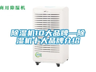 企業新聞除濕機10大品牌—除濕機十大品牌介紹