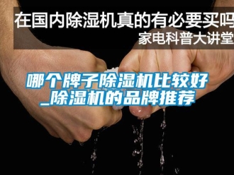 企業新聞哪個牌子除濕機比較好_除濕機的品牌推薦