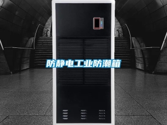 常見問題防靜電工業防潮箱