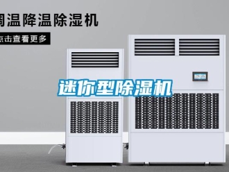 行業(yè)新聞迷你型除濕機(jī)