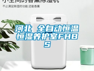 知識百科河北 全自動恒溫恒濕養護室FHBS