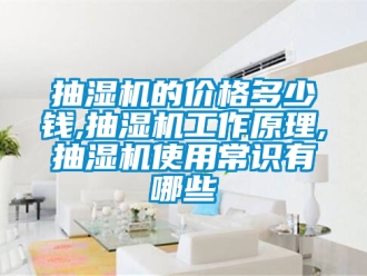 企業新聞抽濕機的價格多少錢,抽濕機工作原理,抽濕機使用常識有哪些