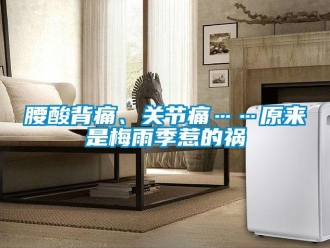 知識百科腰酸背痛、關節痛……原來是梅雨季惹的禍