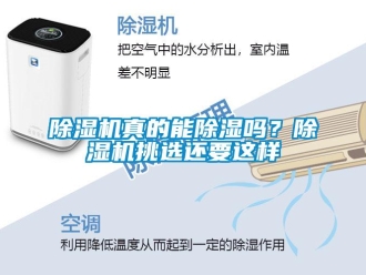 常見問題除濕機真的能除濕嗎？除濕機挑選還要這樣