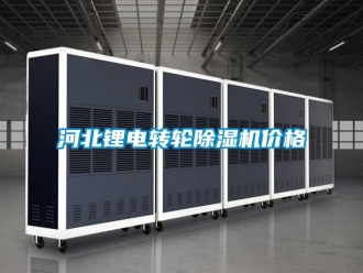 常見問題河北鋰電轉輪除濕機價格