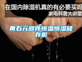 知識百科黃石元器件恒溫恒濕儲存柜