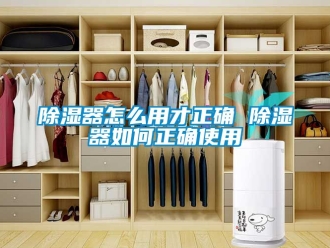 行業新聞除濕器怎么用才正確 除濕器如何正確使用