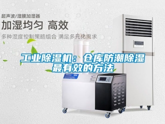 常見問題工業除濕機：倉庫防潮除濕最有效的方法